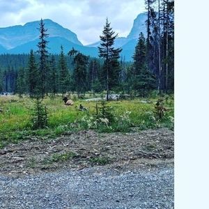 Meet your Posher, Ruben